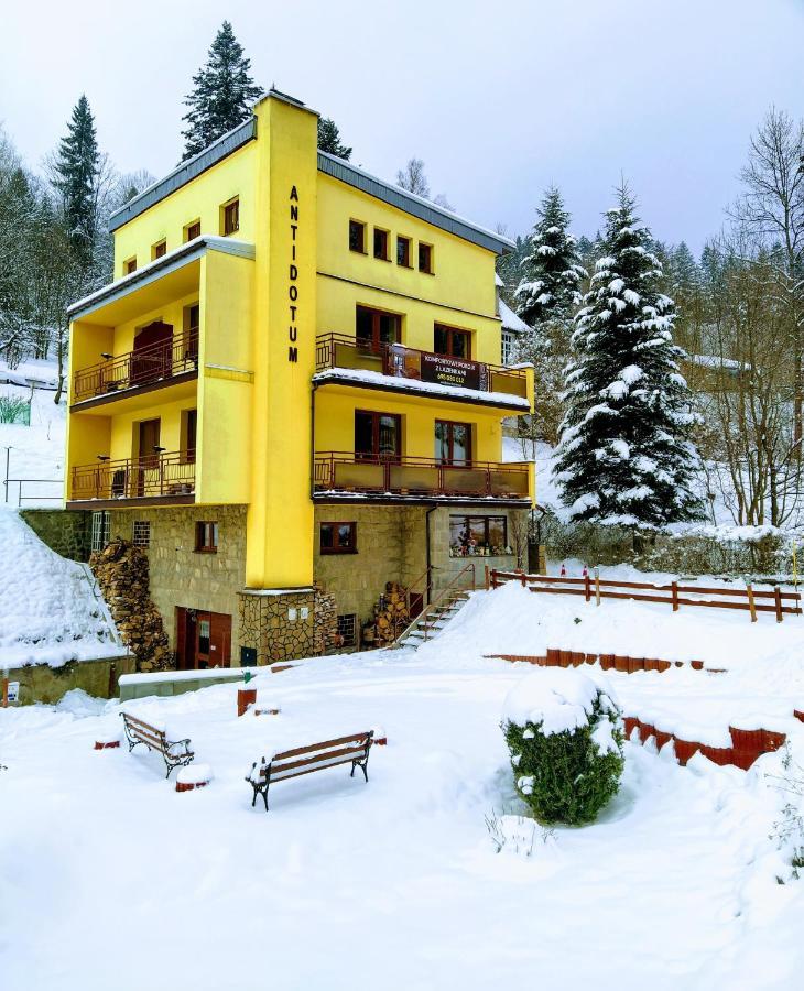 Willa Antidotum Krynica Zdroj Exterior photo